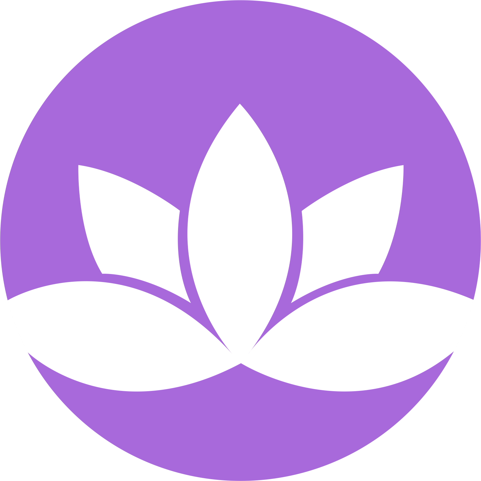 What is gratitude 